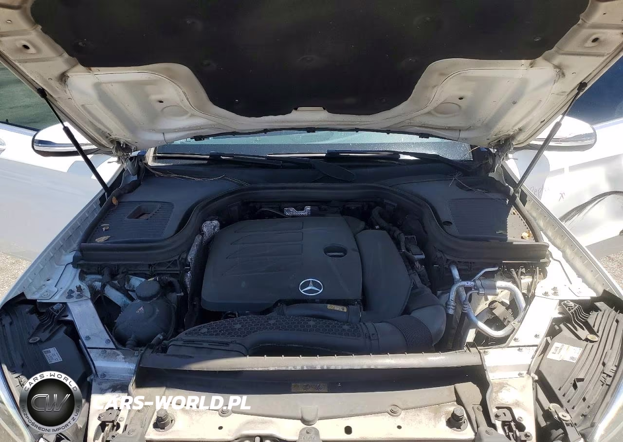 2020 Mercedes-Benz Glc 300 VIN:W1N0G8DB8LF834842 - 12