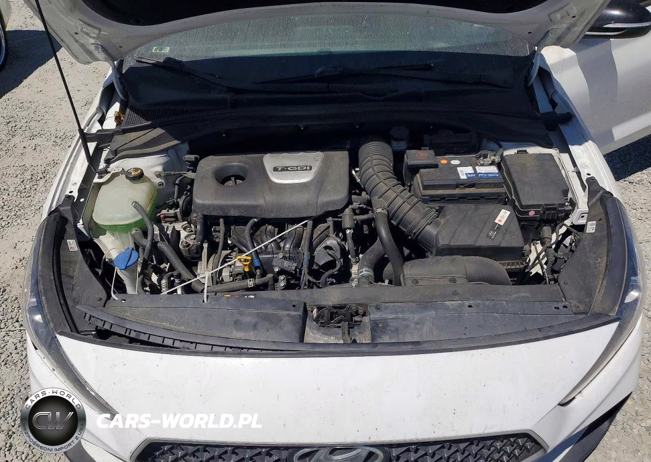 2019 Hyundai Elantra Gt N Line VIN:KMHH55LC1KU118511 - 11