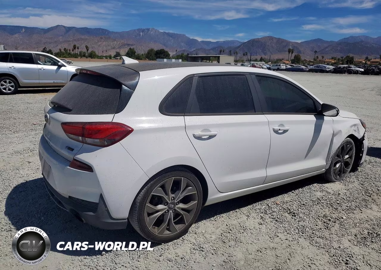 2019 Hyundai Elantra Gt N Line VIN:KMHH55LC1KU118511 - 3
