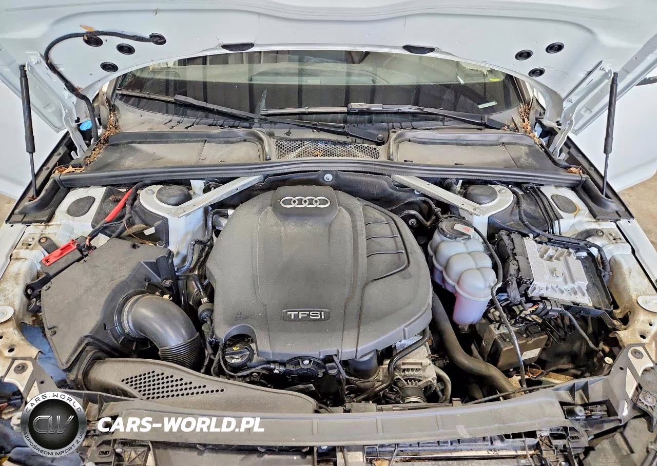 2019 Audi A4 Premium Plus VIN:WAUENAF47KA052629 - 11