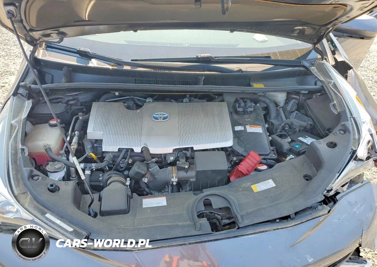 2016 Toyota Prius Two VIN:JTDKBRFU1G3509542 - 12