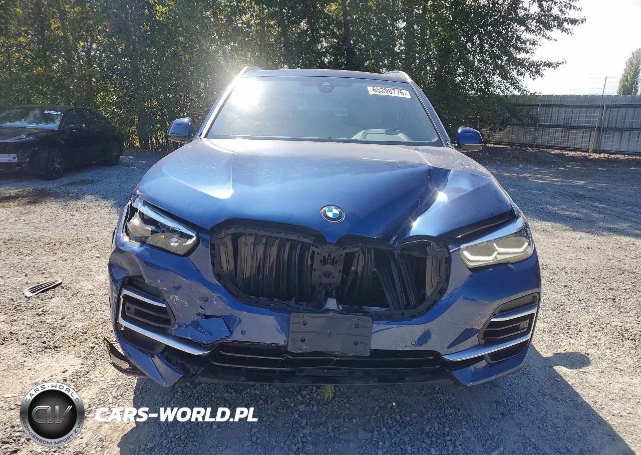 2023 BMW X5 xDrive40I VIN:5UXCR6C04P9R12619 - 5