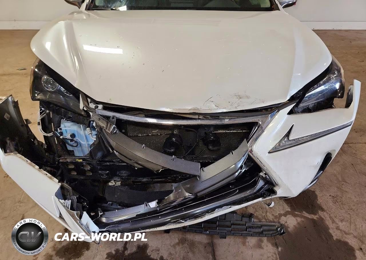 2016 Lexus Nx 300H VIN:JTJBJRBZ4G2042768 - 12