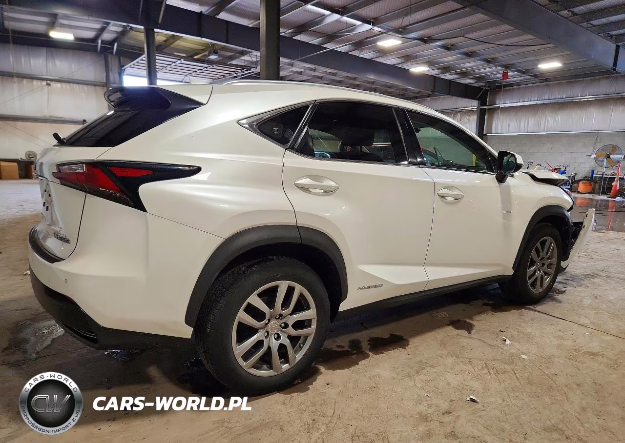 2016 Lexus Nx 300H VIN:JTJBJRBZ4G2042768 - 3