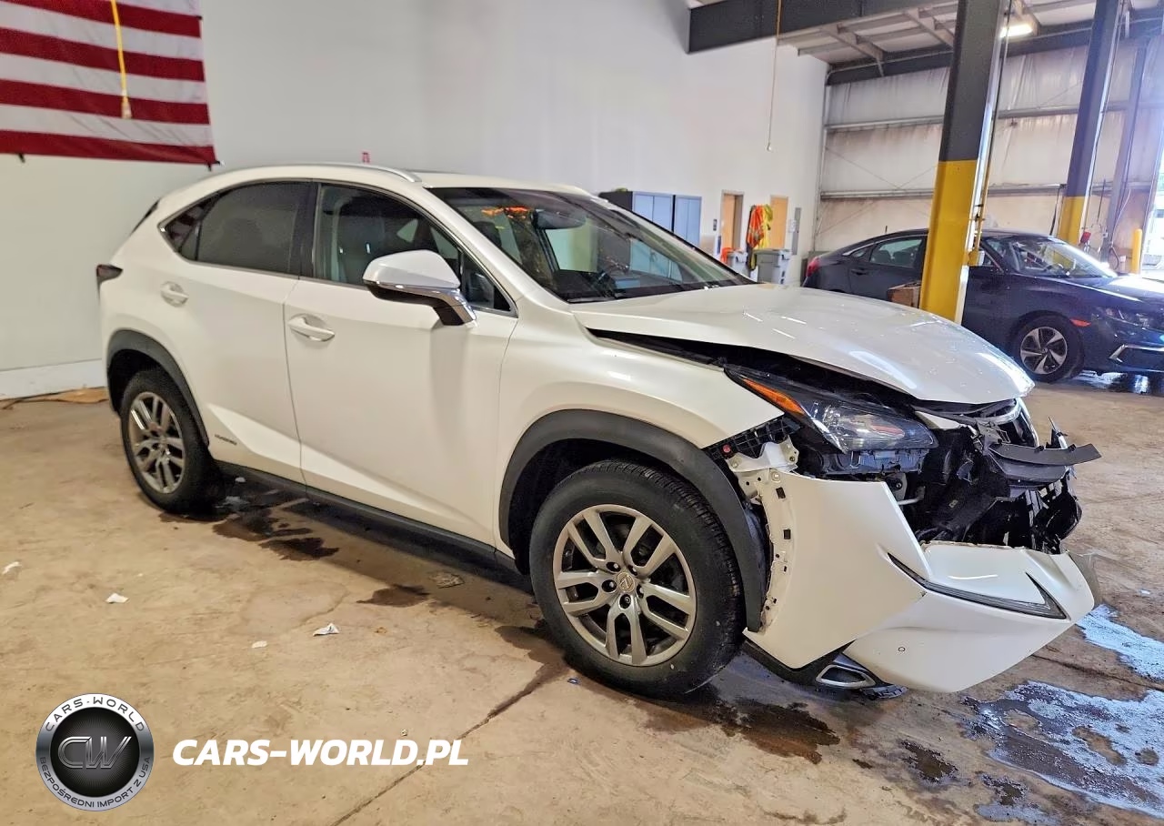 2016 Lexus Nx 300H VIN:JTJBJRBZ4G2042768 - 4