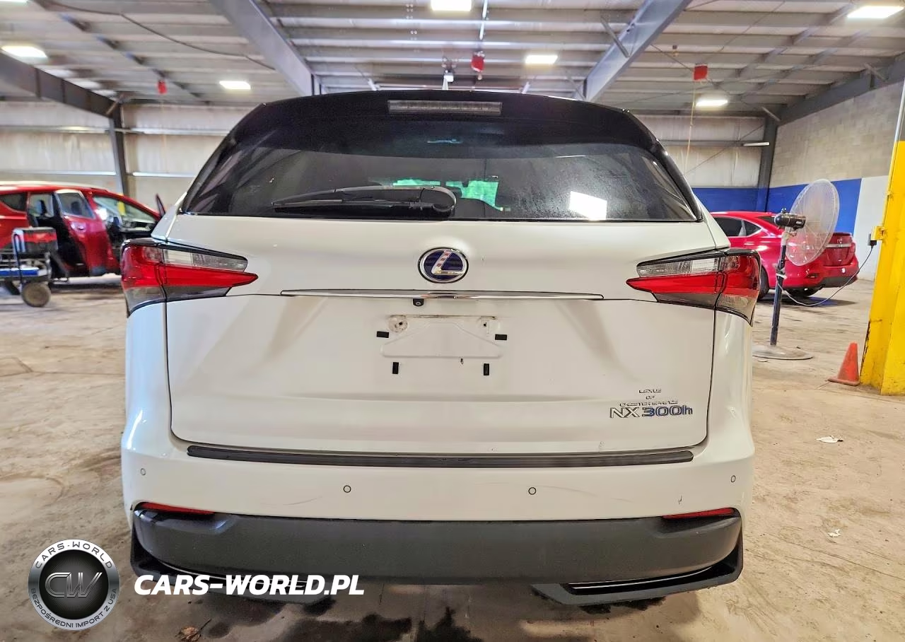 2016 Lexus Nx 300H VIN:JTJBJRBZ4G2042768 - 6