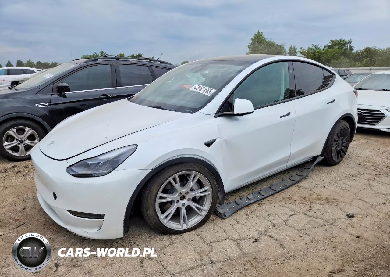 2023 Tesla Model Y VIN:7SAYGDEEXPF790299 - 1