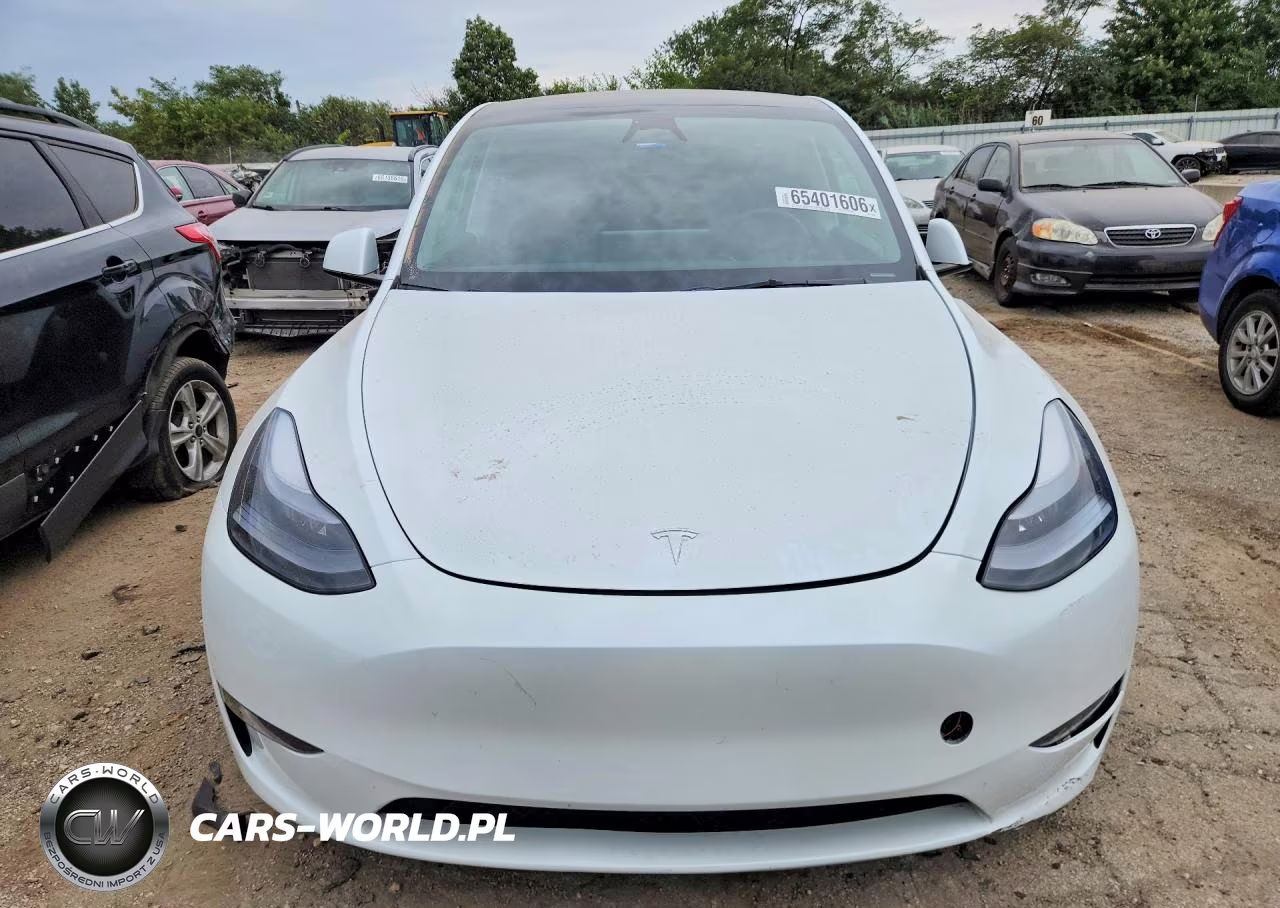 2023 Tesla Model Y VIN:7SAYGDEEXPF790299 - 5
