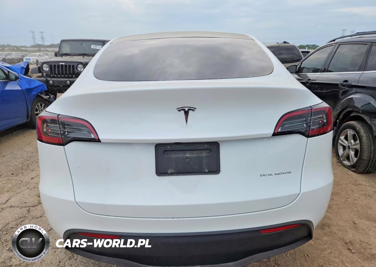 2023 Tesla Model Y VIN:7SAYGDEEXPF790299 - 6