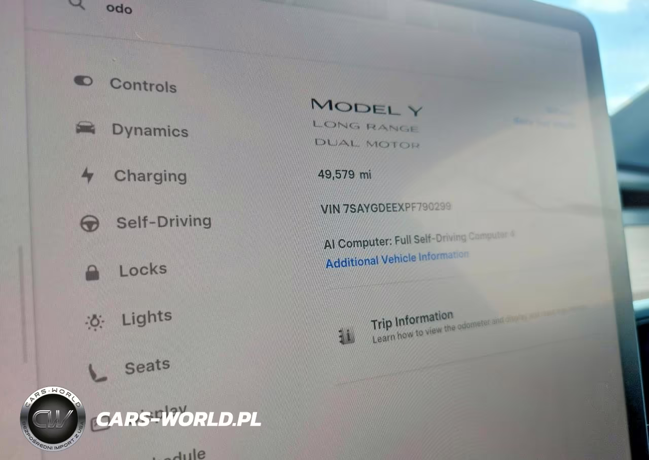 2023 Tesla Model Y VIN:7SAYGDEEXPF790299 - 9