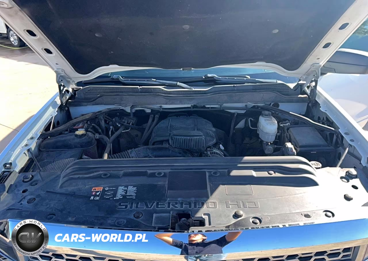 2019 Chevrolet Silverado K2500 Heavy Duty Lt VIN:1GC1KSEG6KF266025 - 7