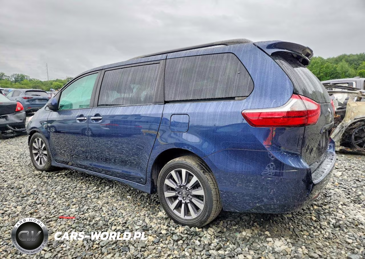 2020 Toyota Sienna Xle 7-Passenger VIN:5TDDZ3DC3LS233482 - 2