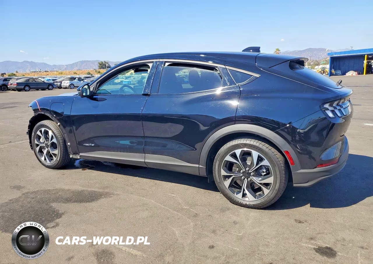 2025 Ford Mustang Mach-E Select VIN:3FMTK1R41SMA36259 - 2
