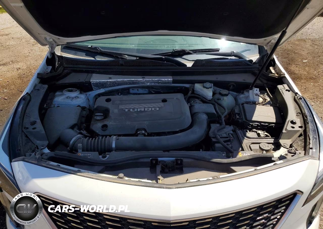 2019 Cadillac Xt4 Premium Luxury VIN:1GYFZCR4XKF164731 - 11