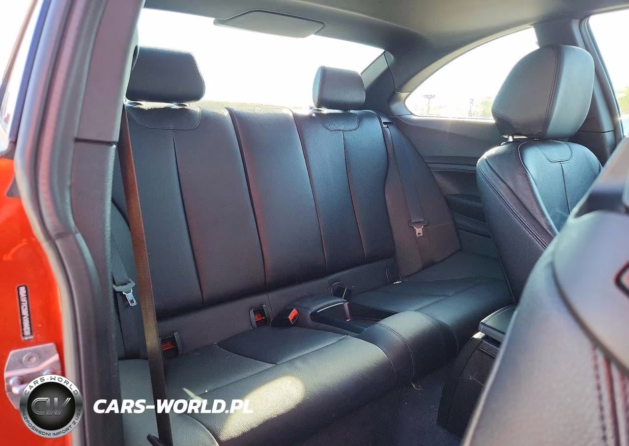 2015 BMW 228 Xi VIN:WBA1F7C58FVX96038 - 10