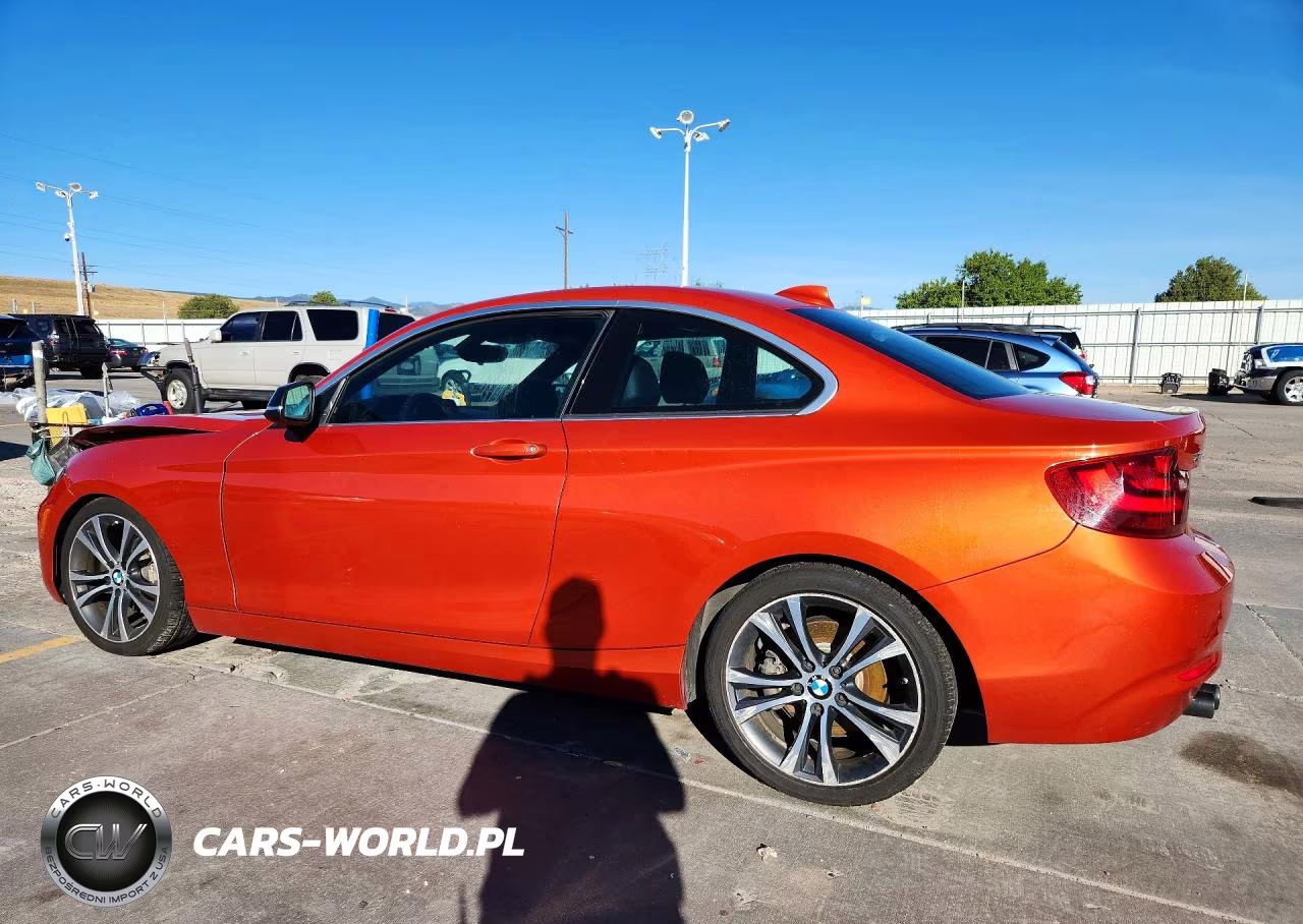 2015 BMW 228 Xi VIN:WBA1F7C58FVX96038 - 2