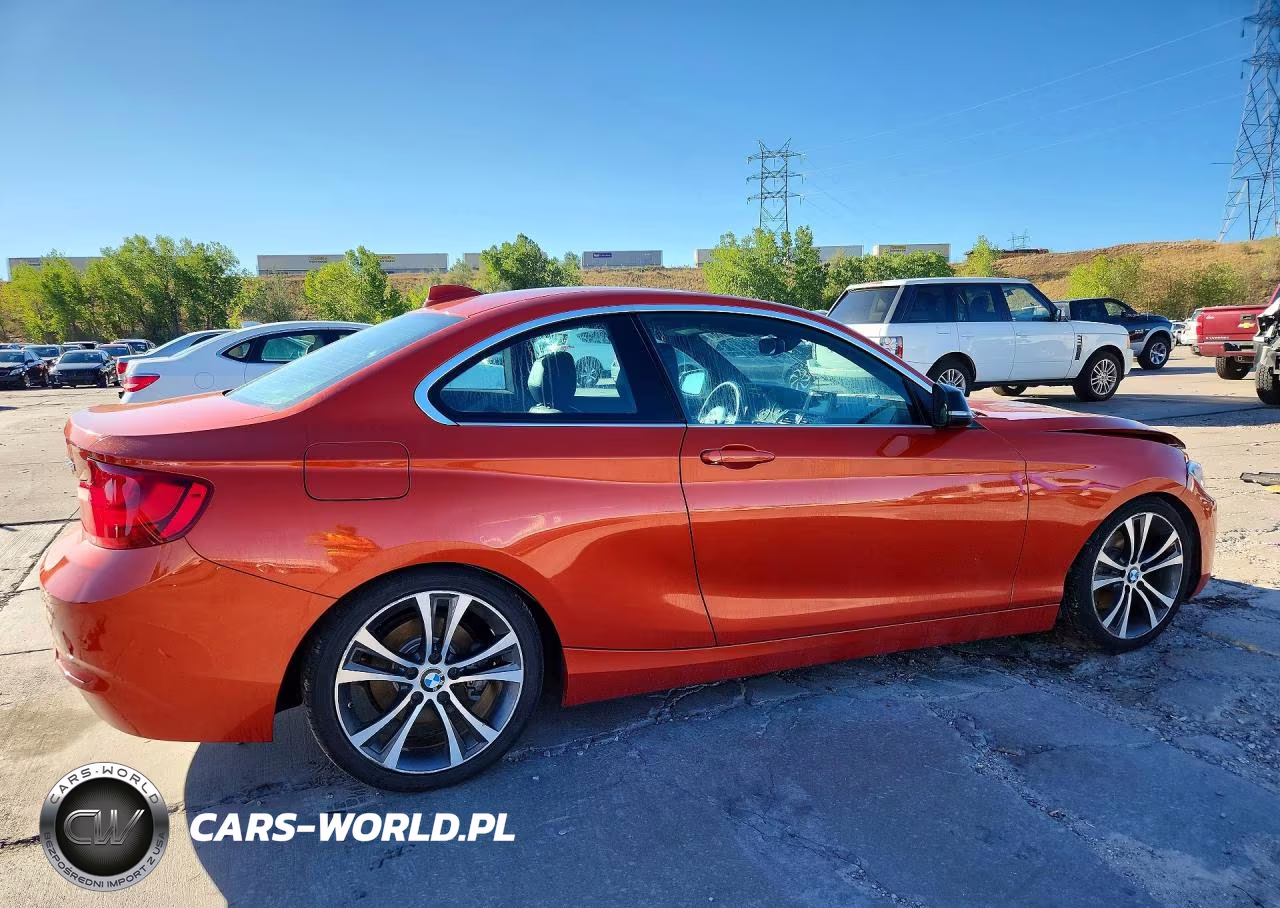 2015 BMW 228 Xi VIN:WBA1F7C58FVX96038 - 3