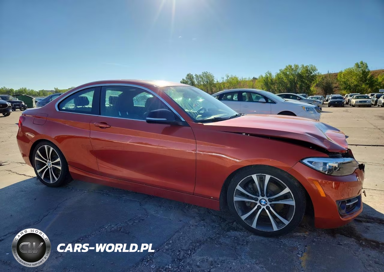 2015 BMW 228 Xi VIN:WBA1F7C58FVX96038 - 4