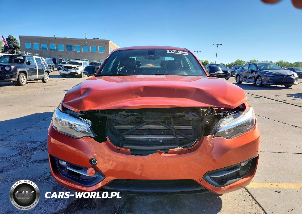 2015 BMW 228 Xi VIN:WBA1F7C58FVX96038 - 5