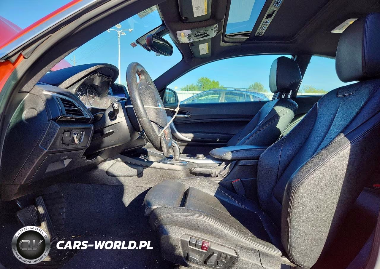 2015 BMW 228 Xi VIN:WBA1F7C58FVX96038 - 7