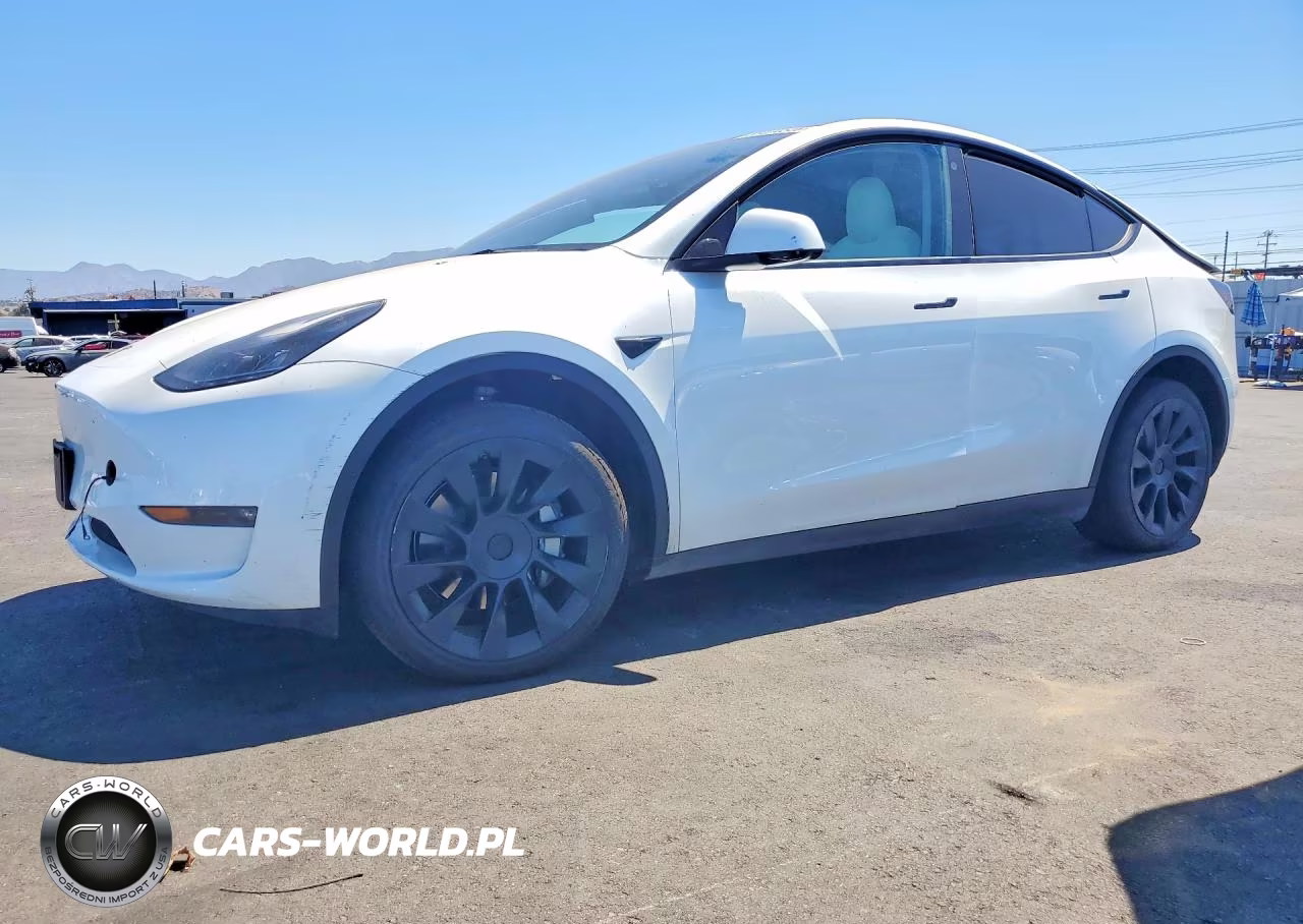 2023 Tesla Model Y VIN:7SAYGDEE9PF621925 - 1