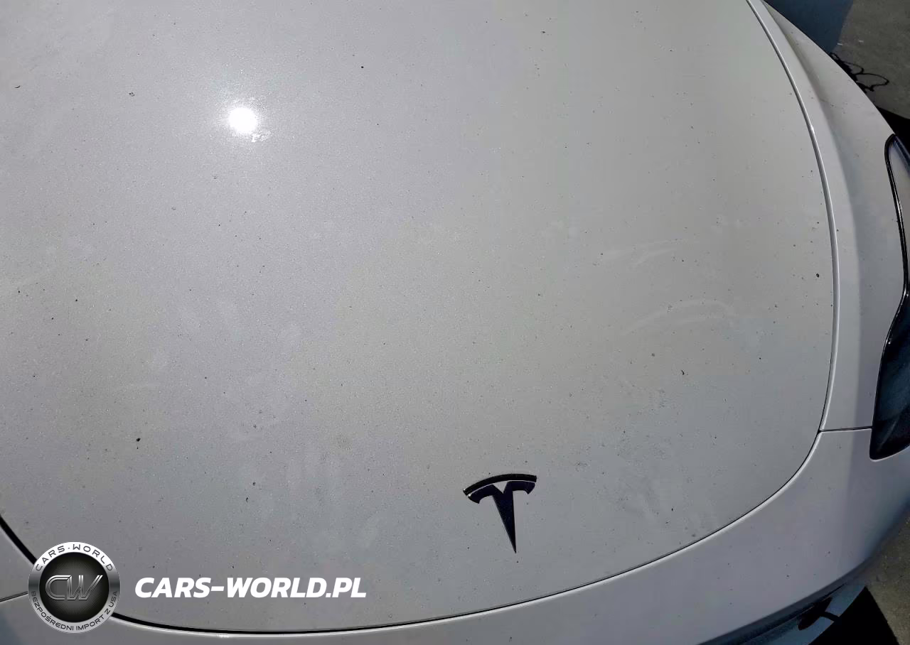 2023 Tesla Model Y VIN:7SAYGDEE9PF621925 - 11