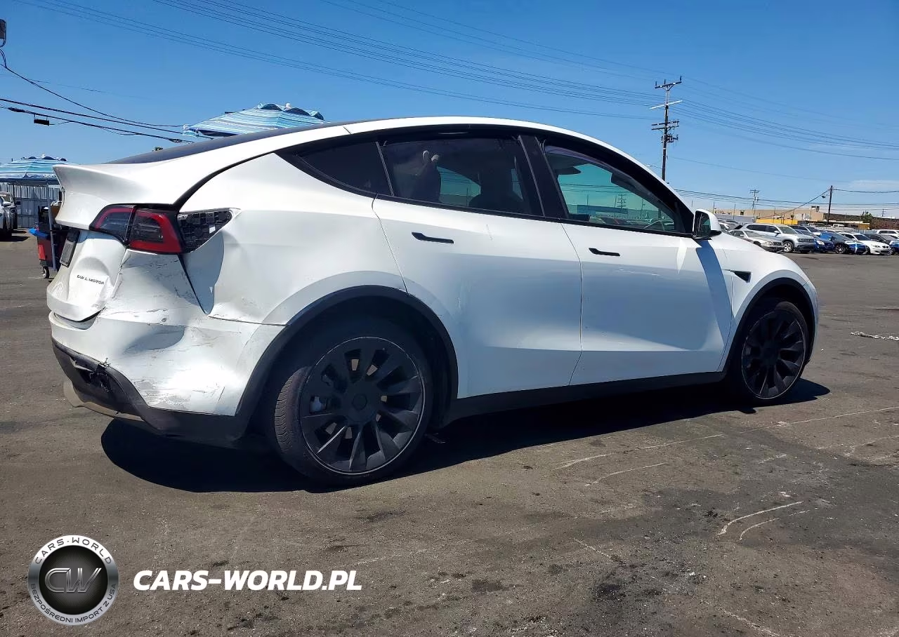 2023 Tesla Model Y VIN:7SAYGDEE9PF621925 - 3