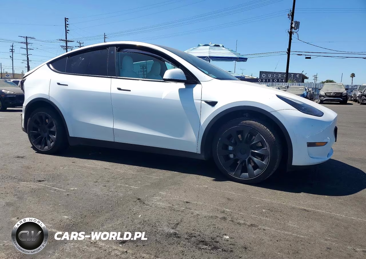 2023 Tesla Model Y VIN:7SAYGDEE9PF621925 - 4