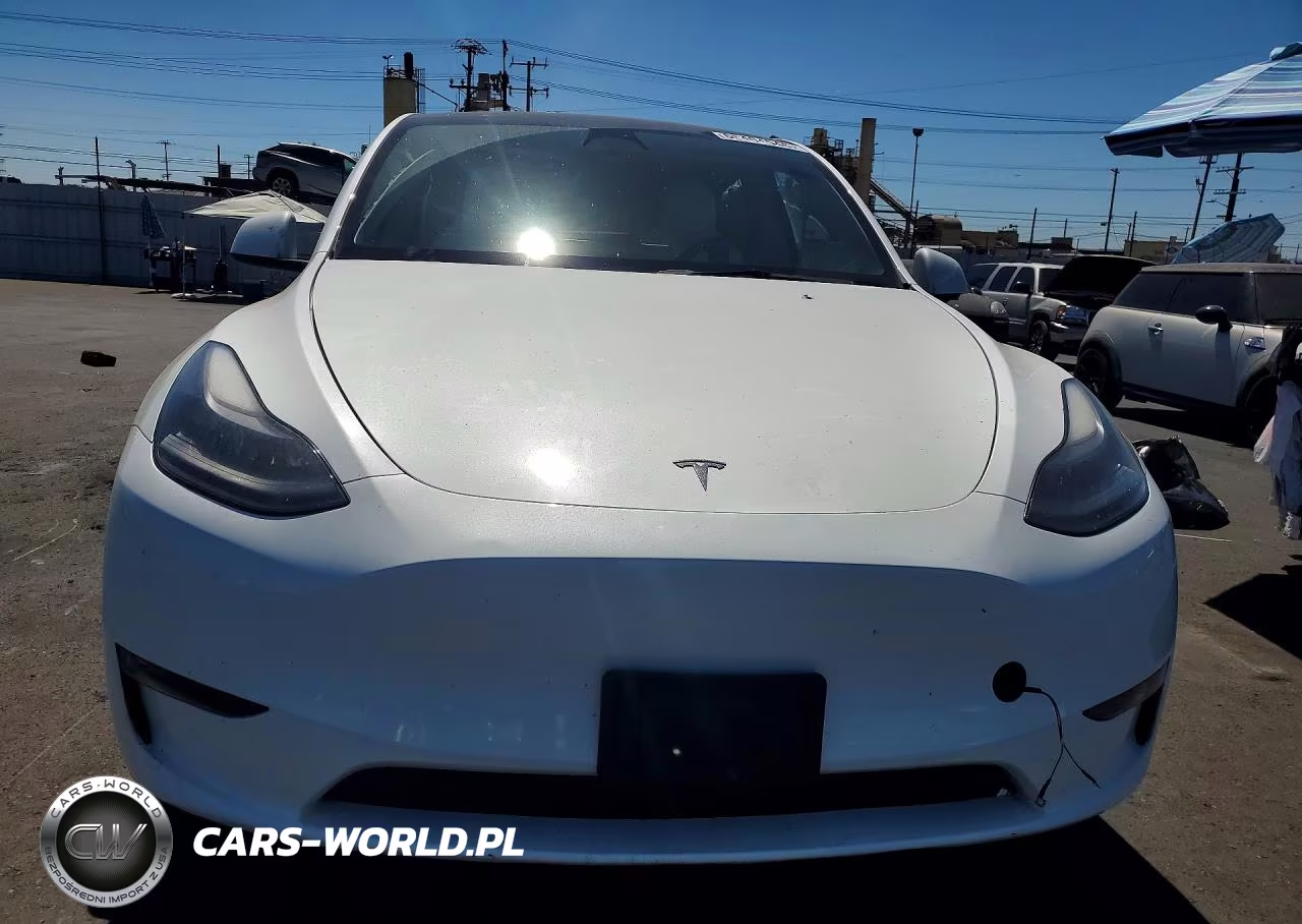 2023 Tesla Model Y VIN:7SAYGDEE9PF621925 - 5