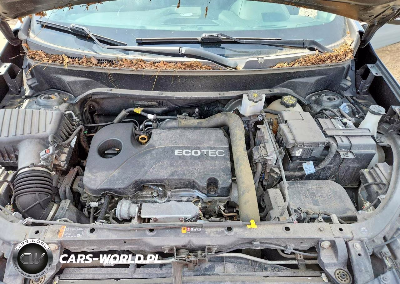 2020 Chevrolet Equinox Premier VIN:3GNAXXEVXLS571528 - 12