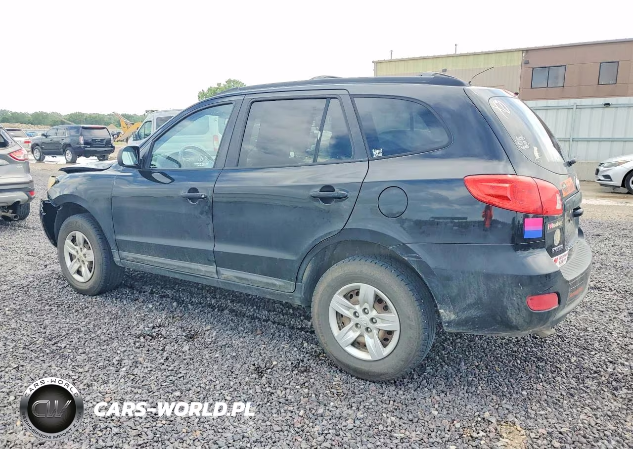 2009 Hyundai Santa Fe Gls VIN:5NMSG13D49H285890 - 2