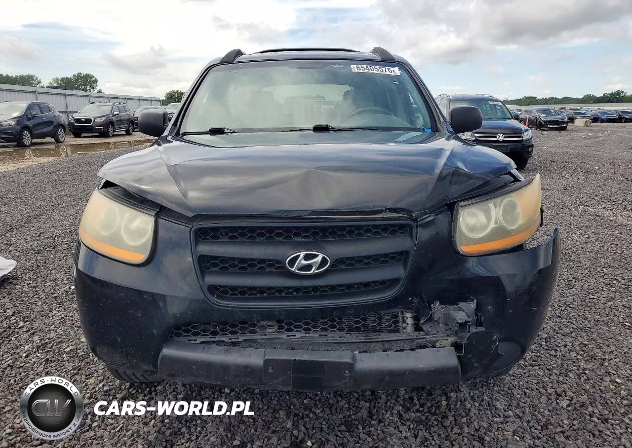 2009 Hyundai Santa Fe Gls VIN:5NMSG13D49H285890 - 5