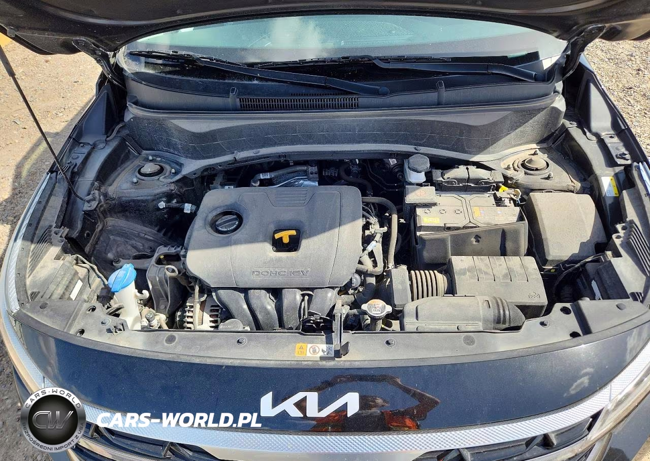 2024 Kia Seltos S VIN:KNDEU2AA9R7630973 - 11