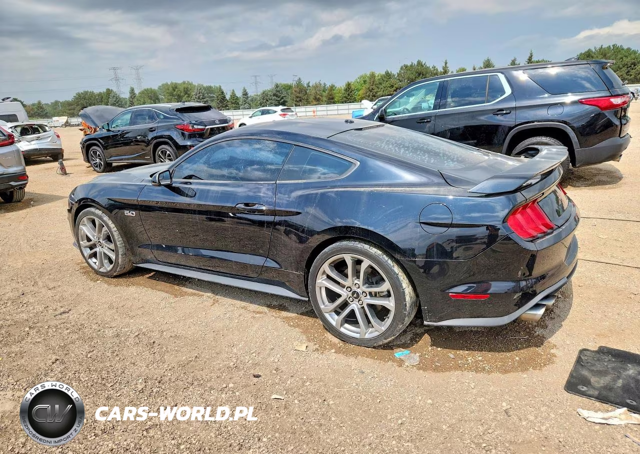 2020 Ford Mustang Gt VIN:1FA6P8CF5L5100631 - 2