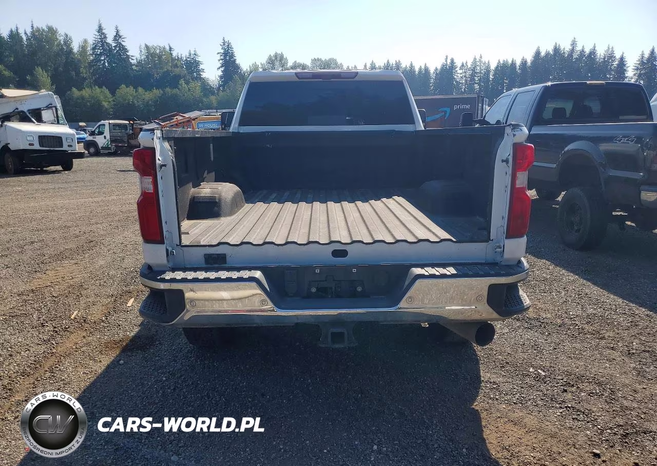 2021 Chevrolet Silverado K2500 Heavy Duty Ltz VIN:1GC4YPEY3MF270716 - 6