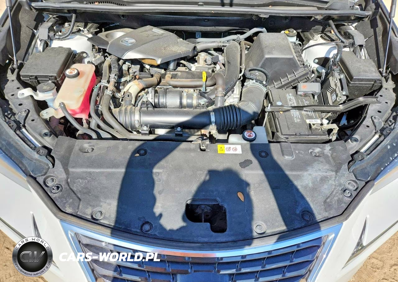 2018 Lexus Nx 300 Base VIN:JTJYARBZ3J2110432 - 11
