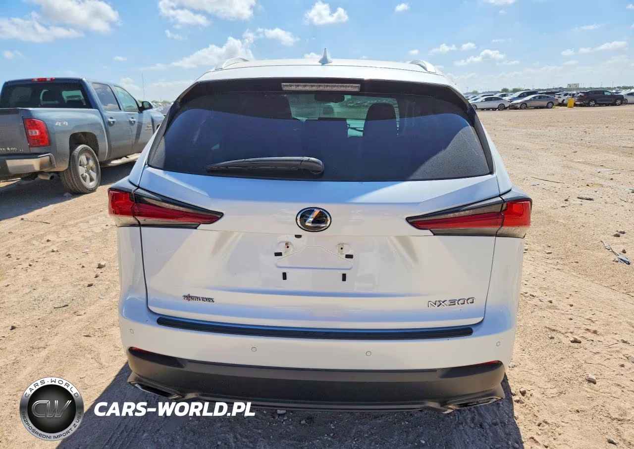 2018 Lexus Nx 300 Base VIN:JTJYARBZ3J2110432 - 6