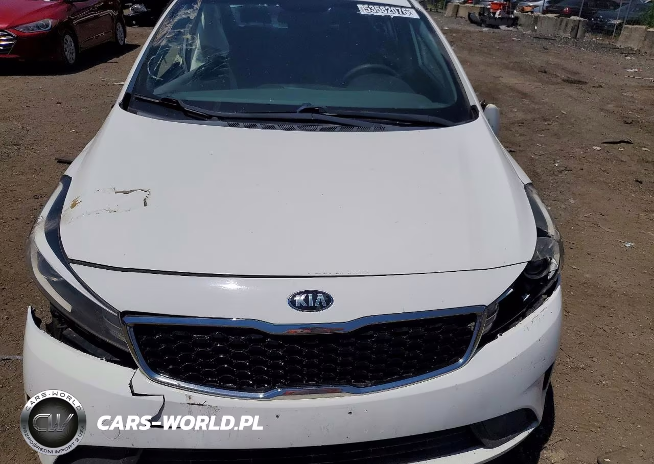 2017 Kia Forte Lx VIN:3KPFK4A76HE081788 - 22