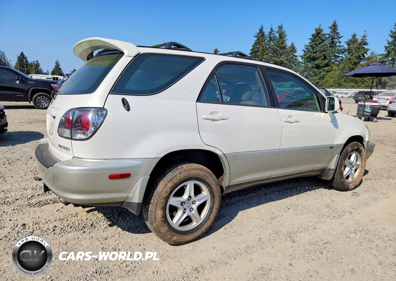 2002 Lexus Rx 300 VIN:JTJHF10U620244651 - 3