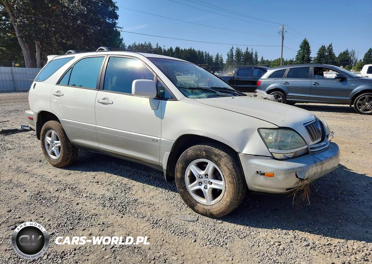 2002 Lexus Rx 300 VIN:JTJHF10U620244651 - 4