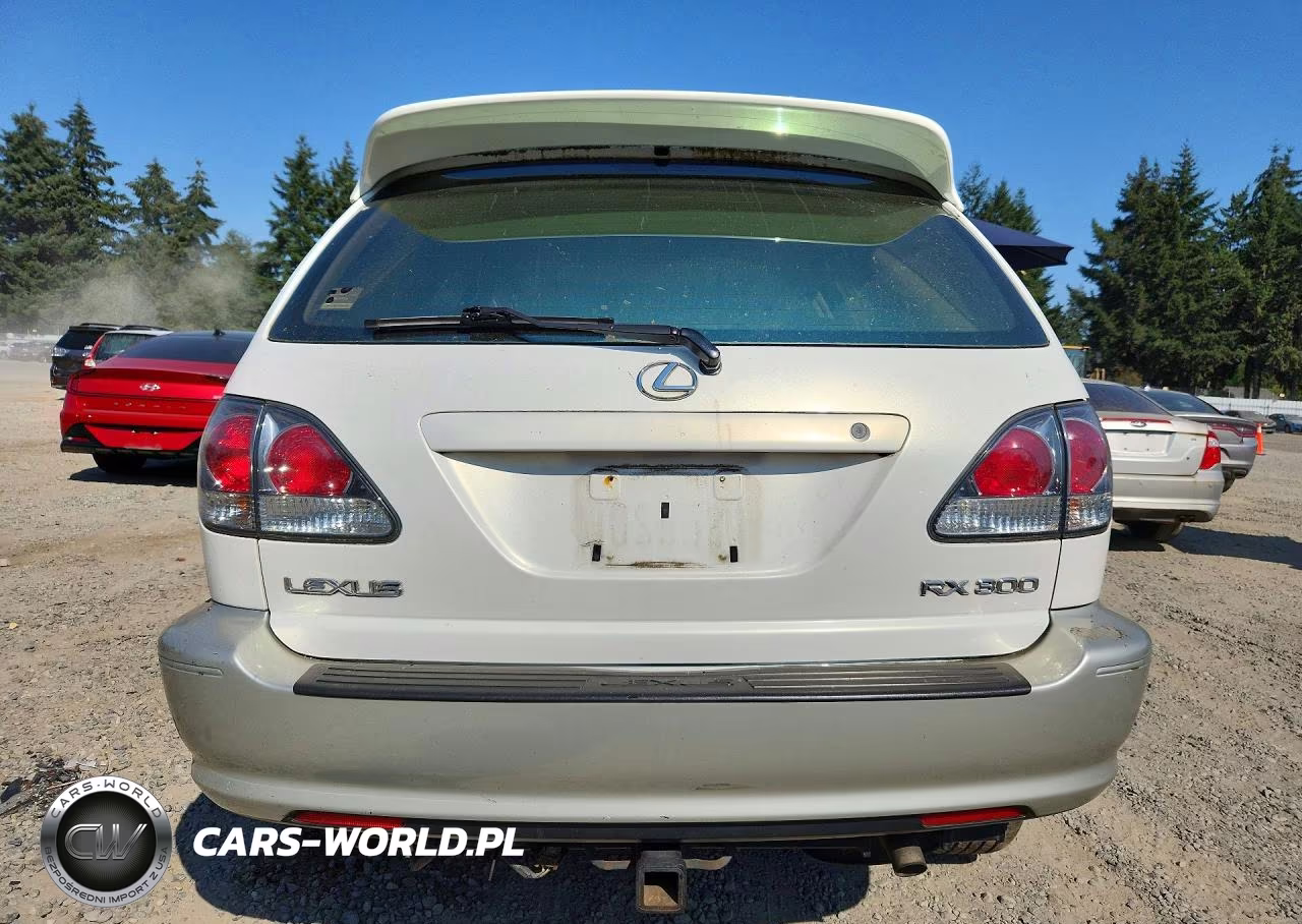 2002 Lexus Rx 300 VIN:JTJHF10U620244651 - 6