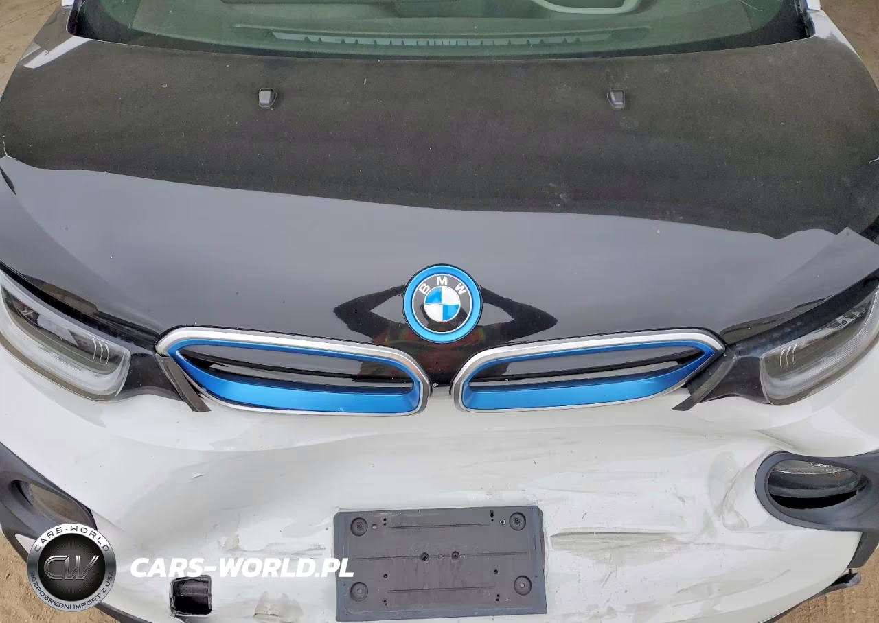 2015 BMW I3 Rex VIN:WBY1Z4C51FV503460 - 11