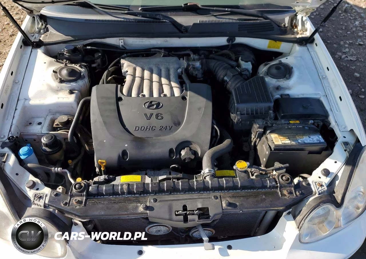 2005 Hyundai Sonata Gls VIN:KMHWF35H35A141960 - 11
