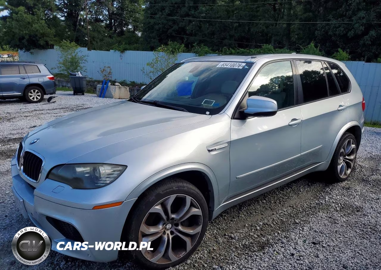 2010 BMW X5 M