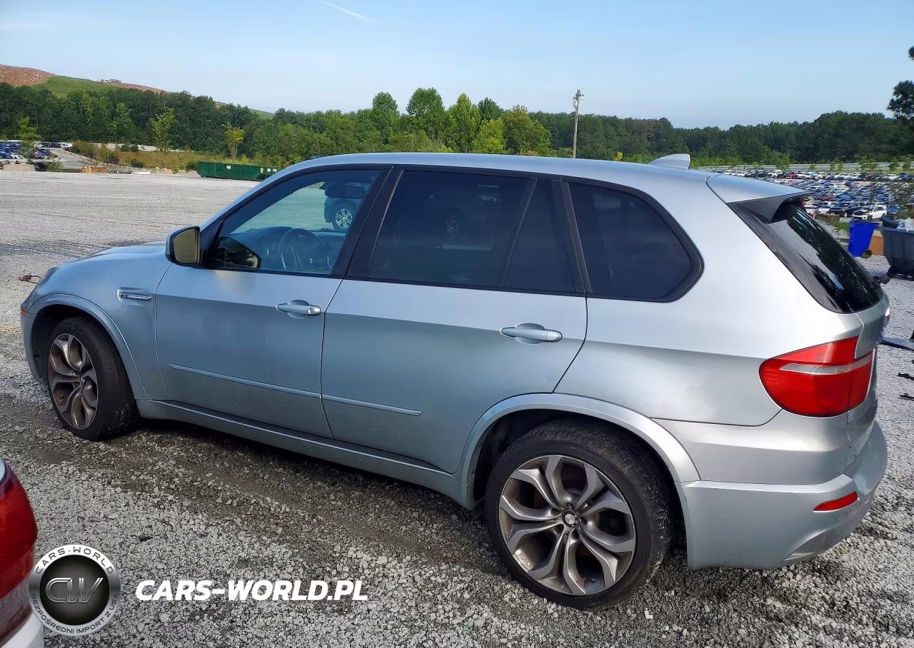 2010 BMW X5 M VIN:5YMGY0C58ALK25448 - 2