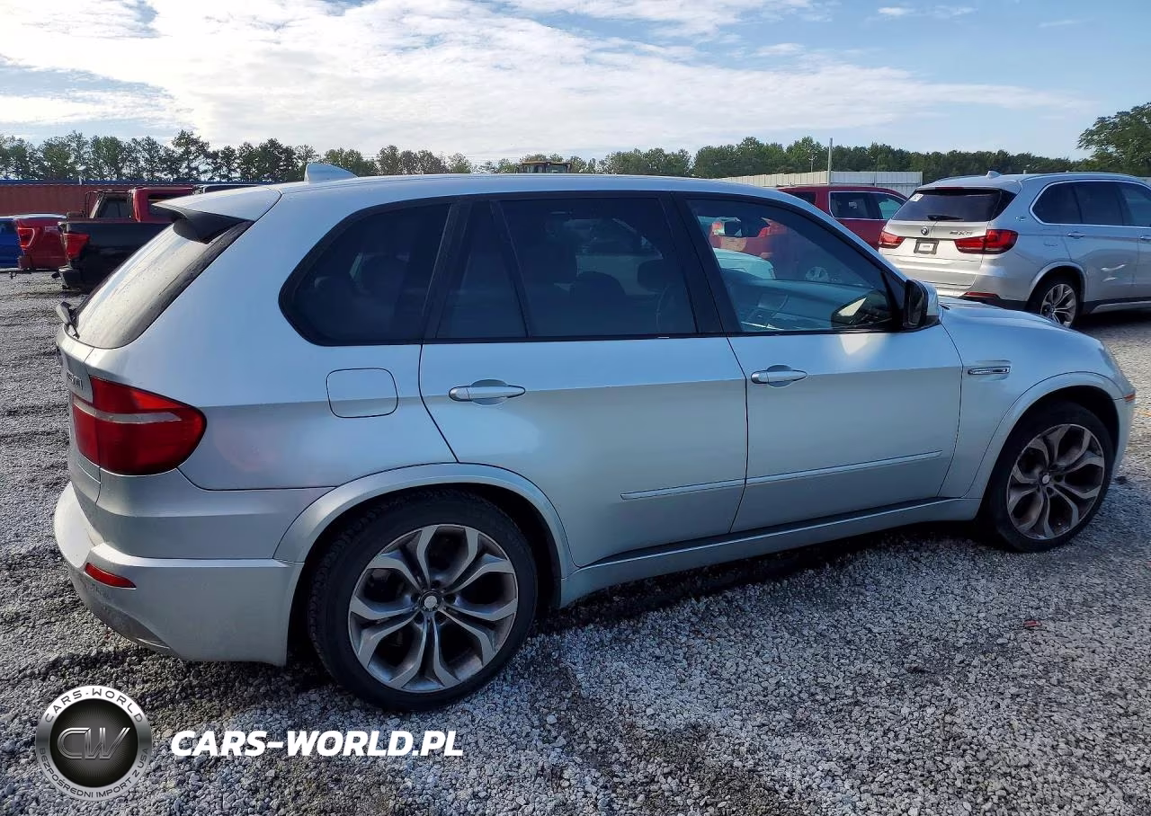 2010 BMW X5 M VIN:5YMGY0C58ALK25448 - 3