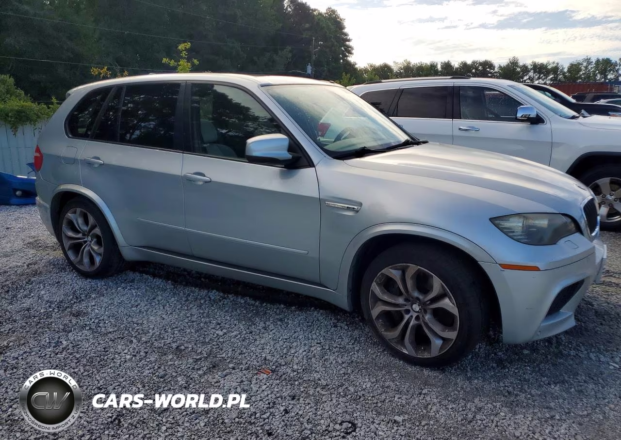 2010 BMW X5 M VIN:5YMGY0C58ALK25448 - 4