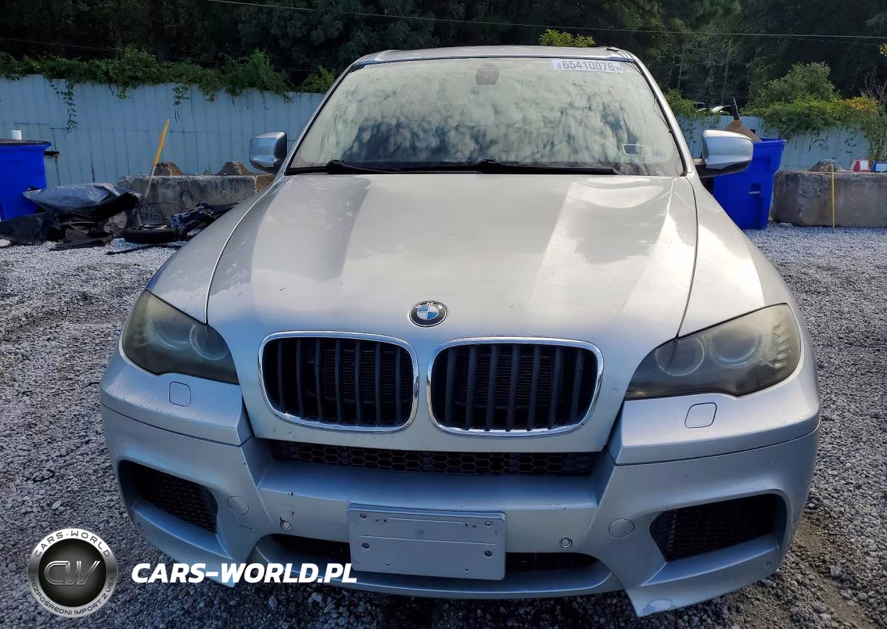 2010 BMW X5 M VIN:5YMGY0C58ALK25448 - 5