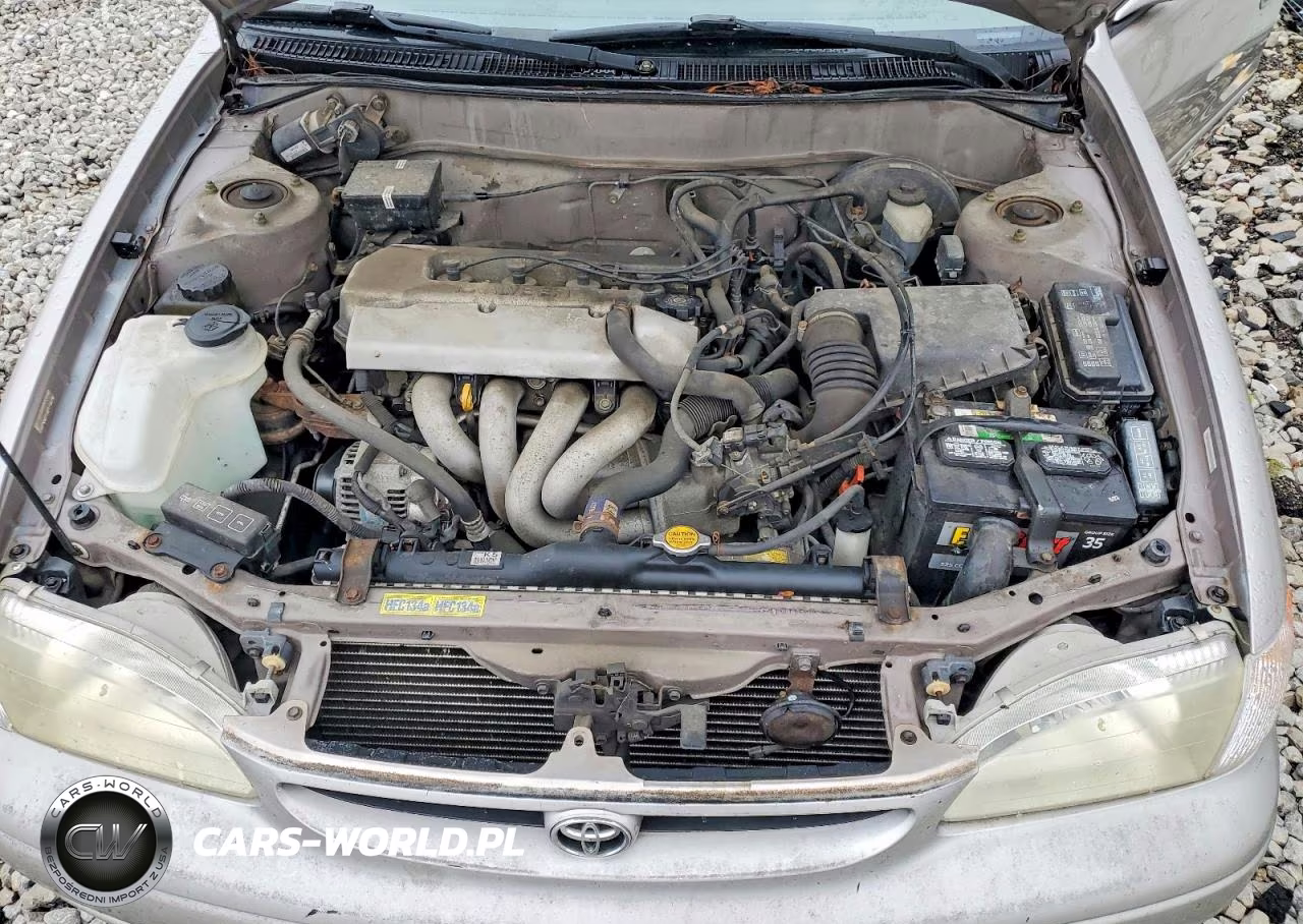1998 Toyota Corolla Ve VIN:1NXBR18E8WZ074929 - 11