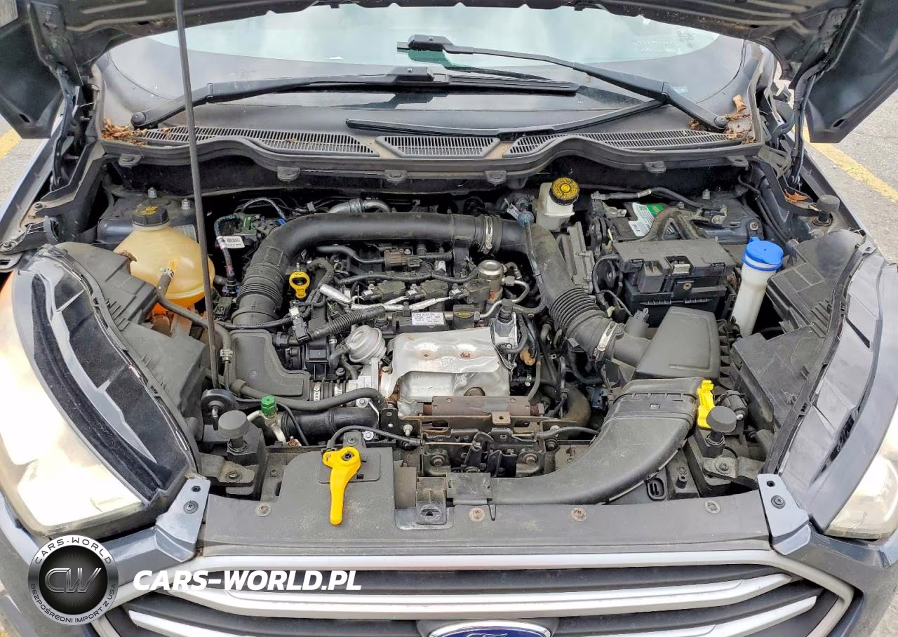 2018 Ford Ecosport Se VIN:MAJ3P1TE6JC182881 - 12